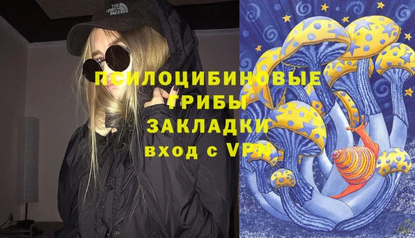 хмурый Балабаново