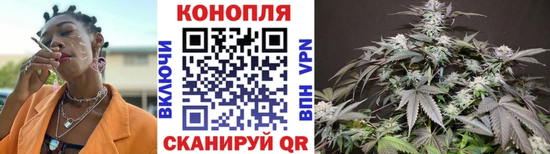 купить наркоту  Петушки  darknet состав  Бошки марихуана тримм 